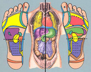 foot reflexology