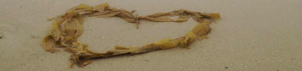A beach